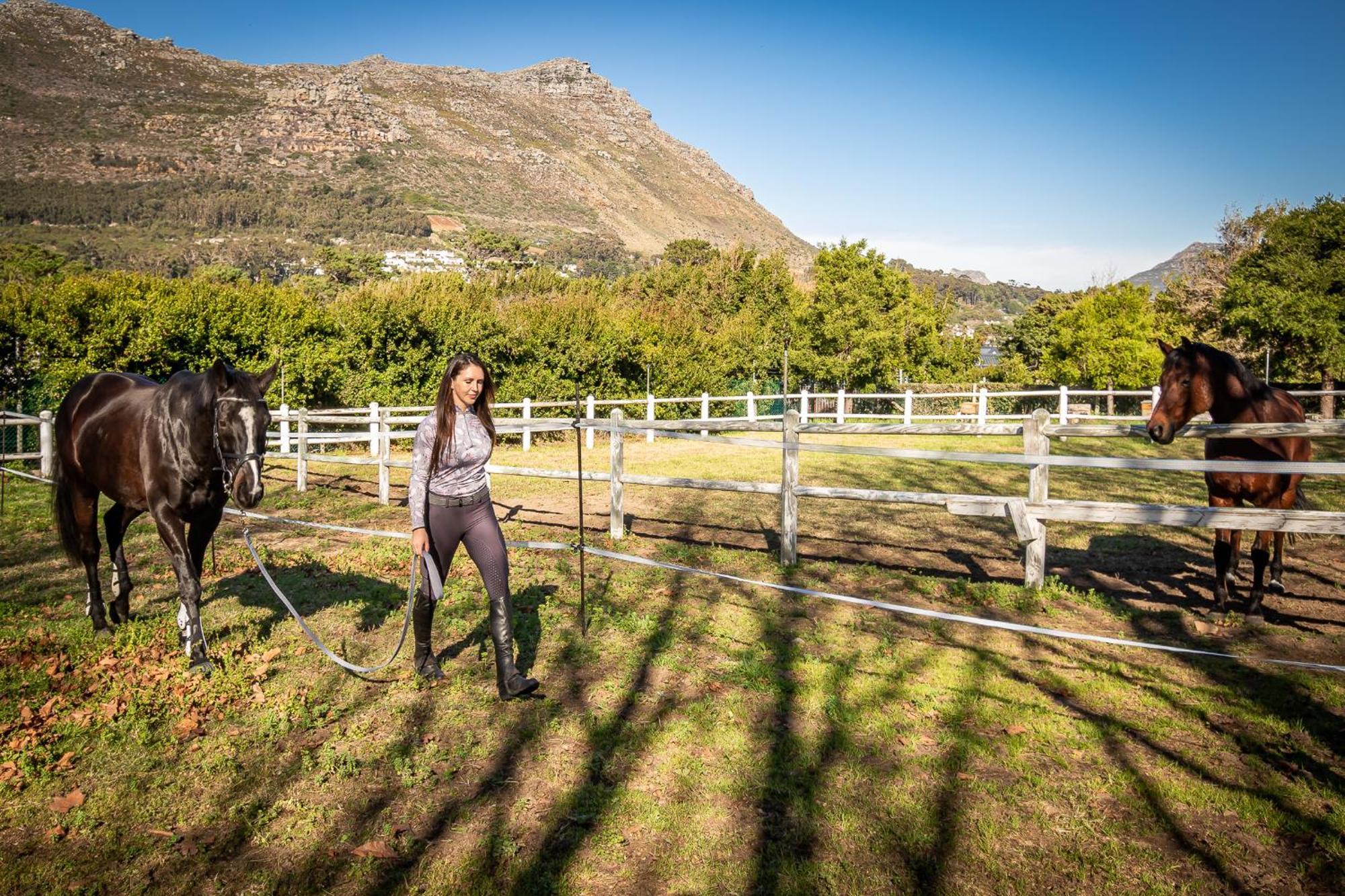 Novelle Vista Cottage Hout Bay Exterior foto